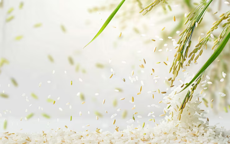 Agricultural Heritage